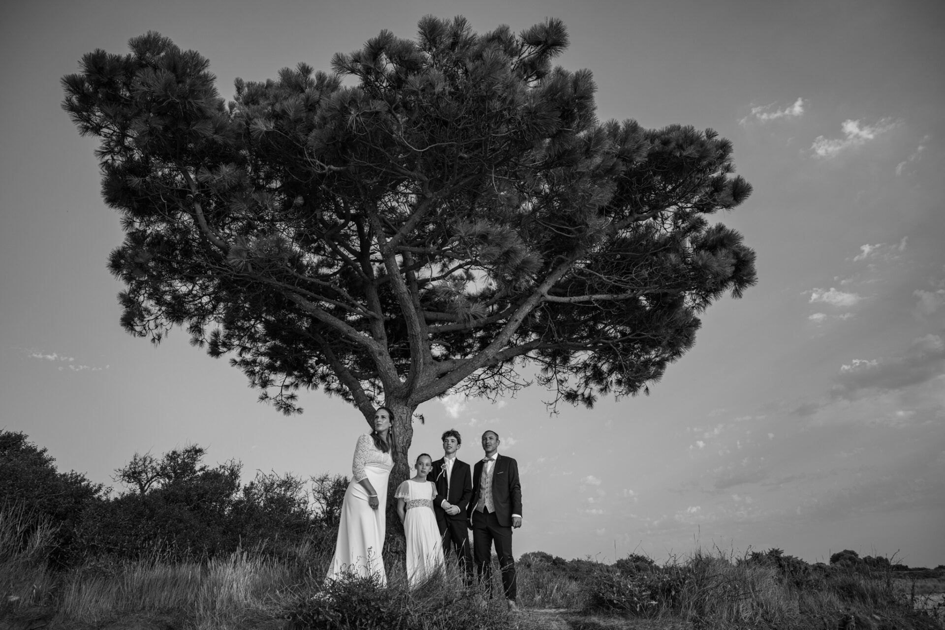 sur la plage de Lancieux posent les mariés avec leurs enfants sous un arbre